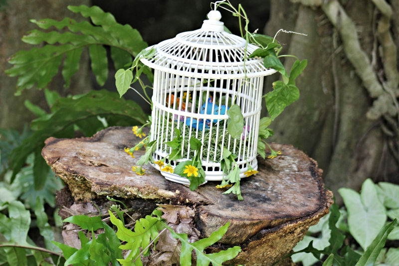 Fairy-Party-Fairy-Cage