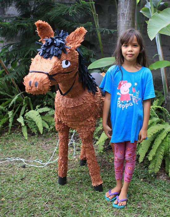Jemima and the Chestnut Horse